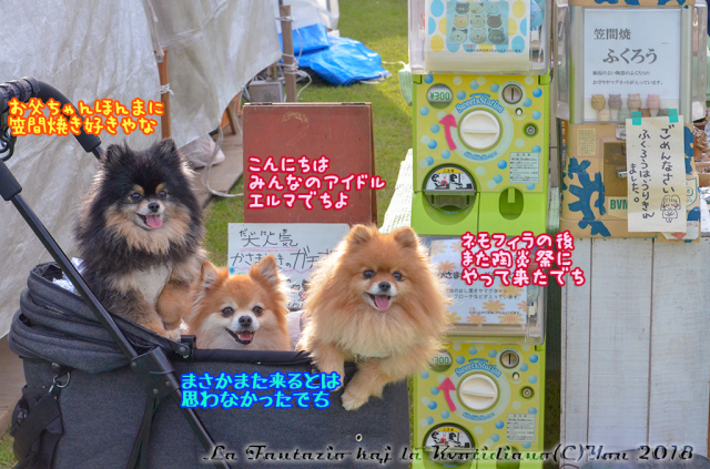 a0004070_12511694.jpg