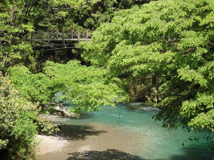 『神崎川の川沿いを歩きながら･････』_d0054276_20521615.jpg