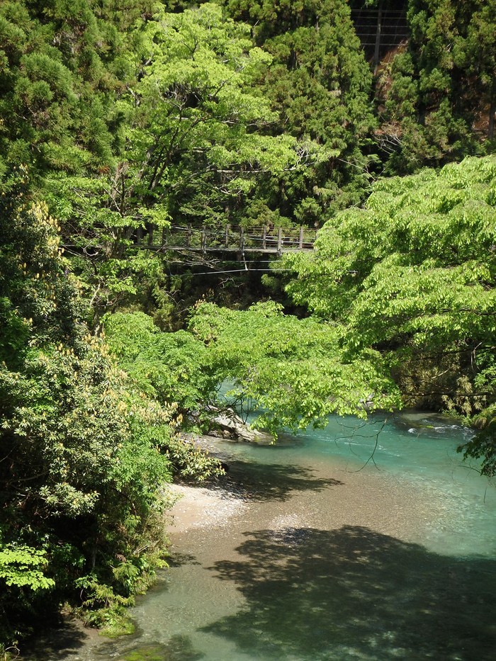 『神崎川の川沿いを歩きながら･････』_d0054276_2052340.jpg