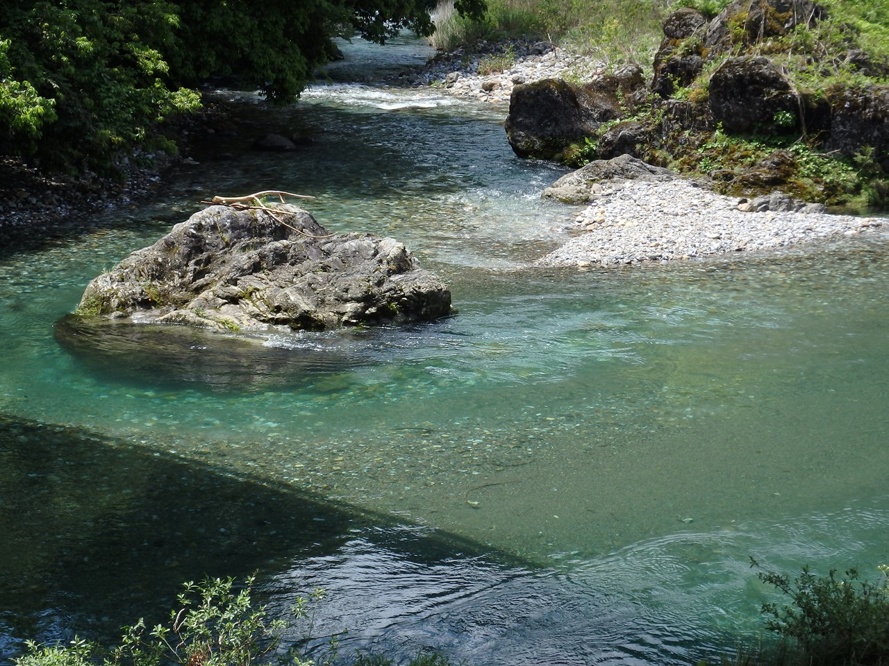 『神崎川の川沿いを歩きながら･････』_d0054276_2054277.jpg