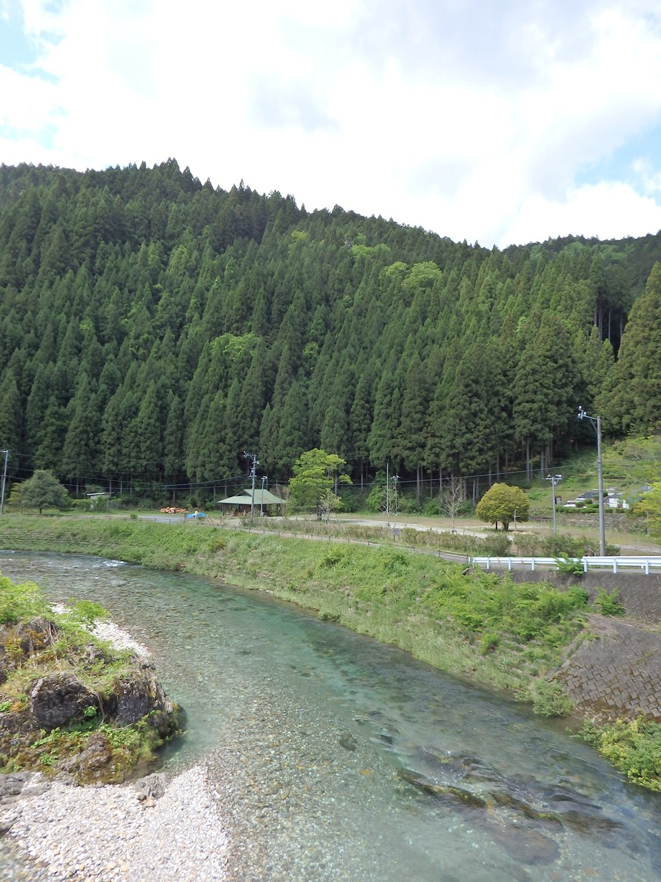 『神崎川の川沿いを歩きながら･････』_d0054276_20544975.jpg