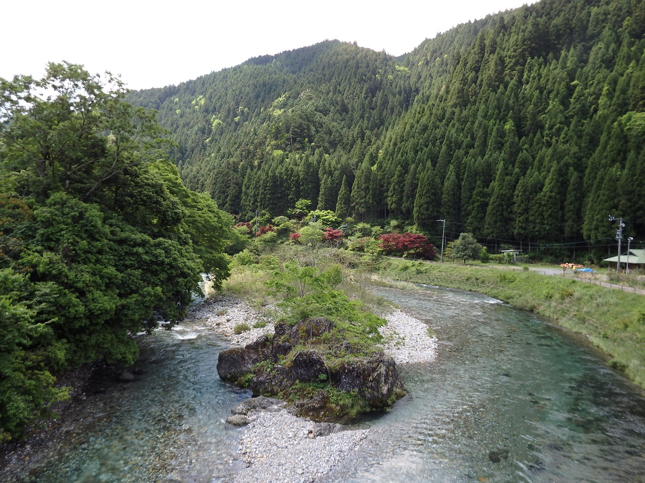 『神崎川の川沿いを歩きながら･････』_d0054276_20545968.jpg