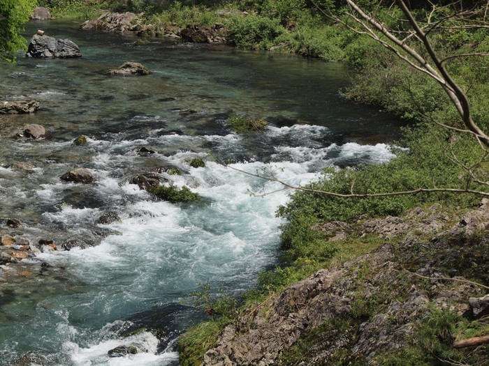 『神崎川の川沿いを歩きながら･････』_d0054276_20554356.jpg