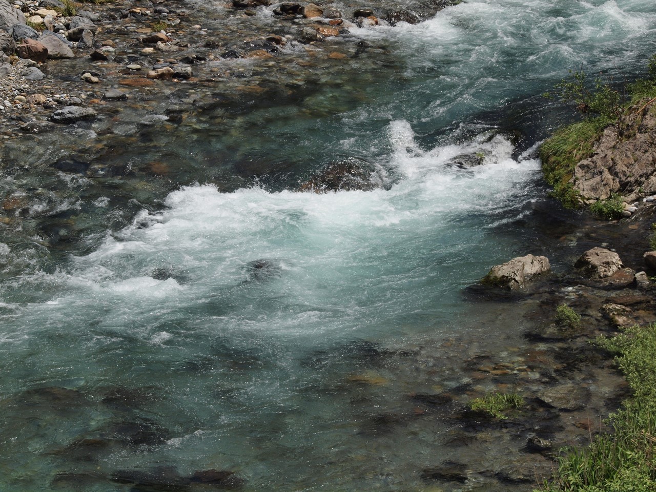 『神崎川の川沿いを歩きながら･････』_d0054276_20555384.jpg