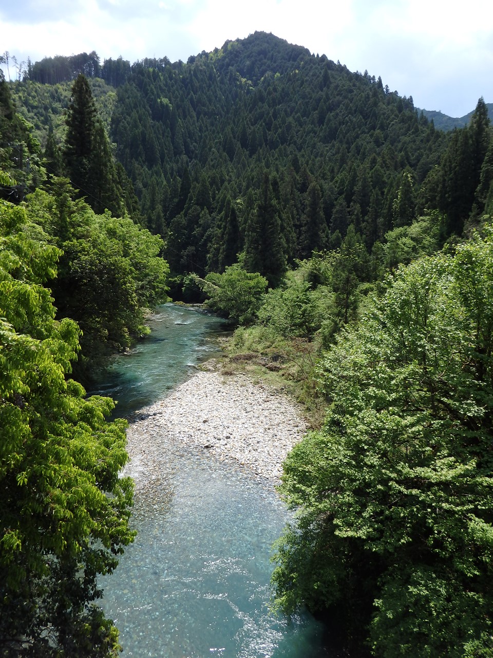 『神崎川の川沿いを歩きながら･････』_d0054276_20562229.jpg