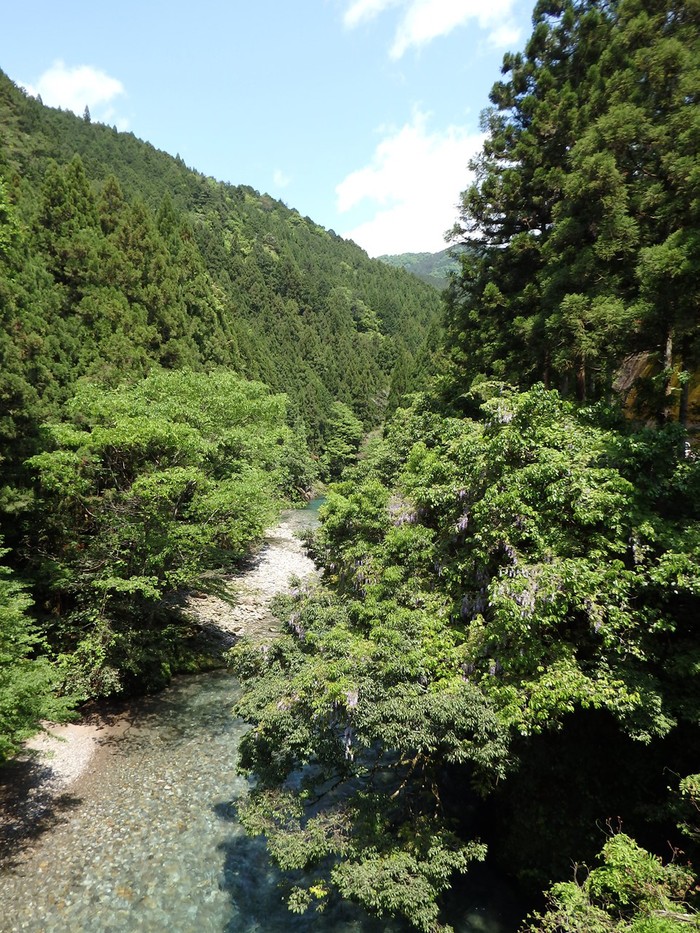 『神崎川の川沿いを歩きながら･････』_d0054276_2056244.jpg