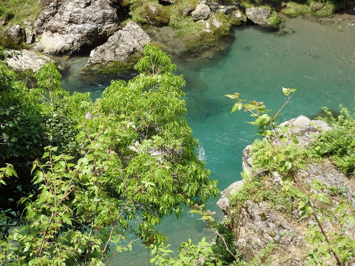 『神崎川の川沿いを歩きながら･････』_d0054276_20565813.jpg