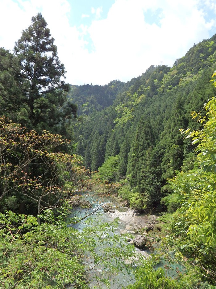 『神崎川の川沿いを歩きながら･････』_d0054276_20574941.jpg