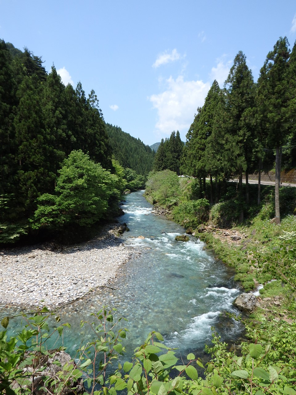 『神崎川の川沿いを歩きながら･････』_d0054276_20581047.jpg