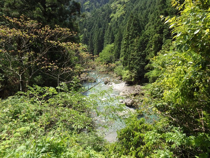 『神崎川の川沿いを歩きながら･････』_d0054276_2058148.jpg