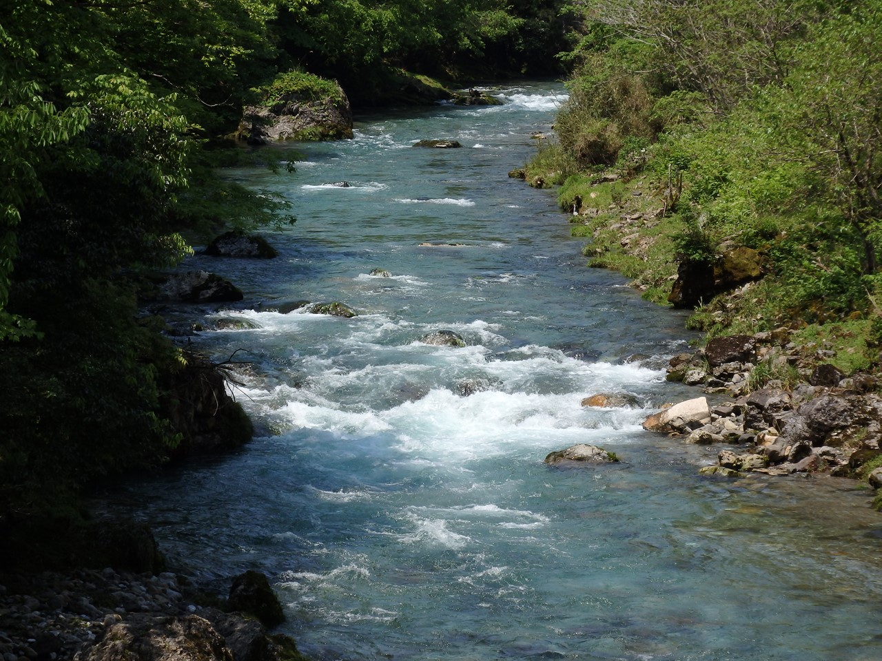 『神崎川の川沿いを歩きながら･････』_d0054276_20582180.jpg