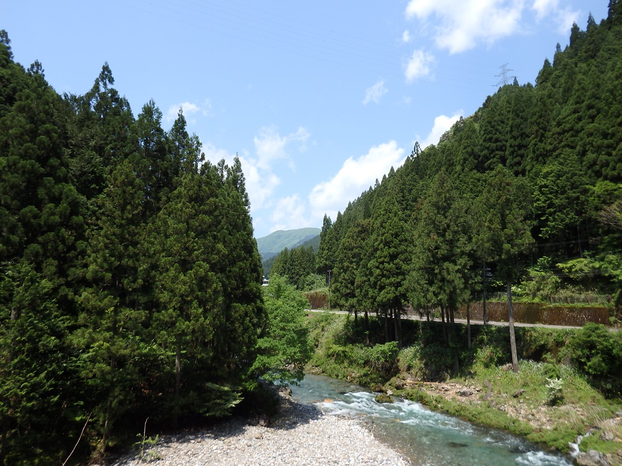 『神崎川の川沿いを歩きながら･････』_d0054276_2058309.jpg