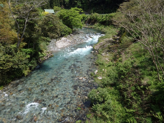 『神崎川の川沿いを歩きながら･････』_d0054276_20584032.jpg