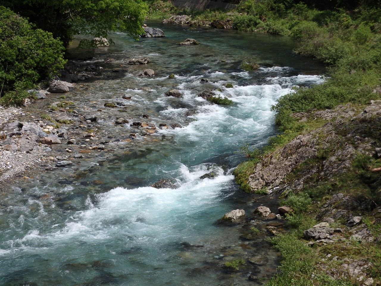 『神崎川の川沿いを歩きながら･････』_d0054276_20585055.jpg