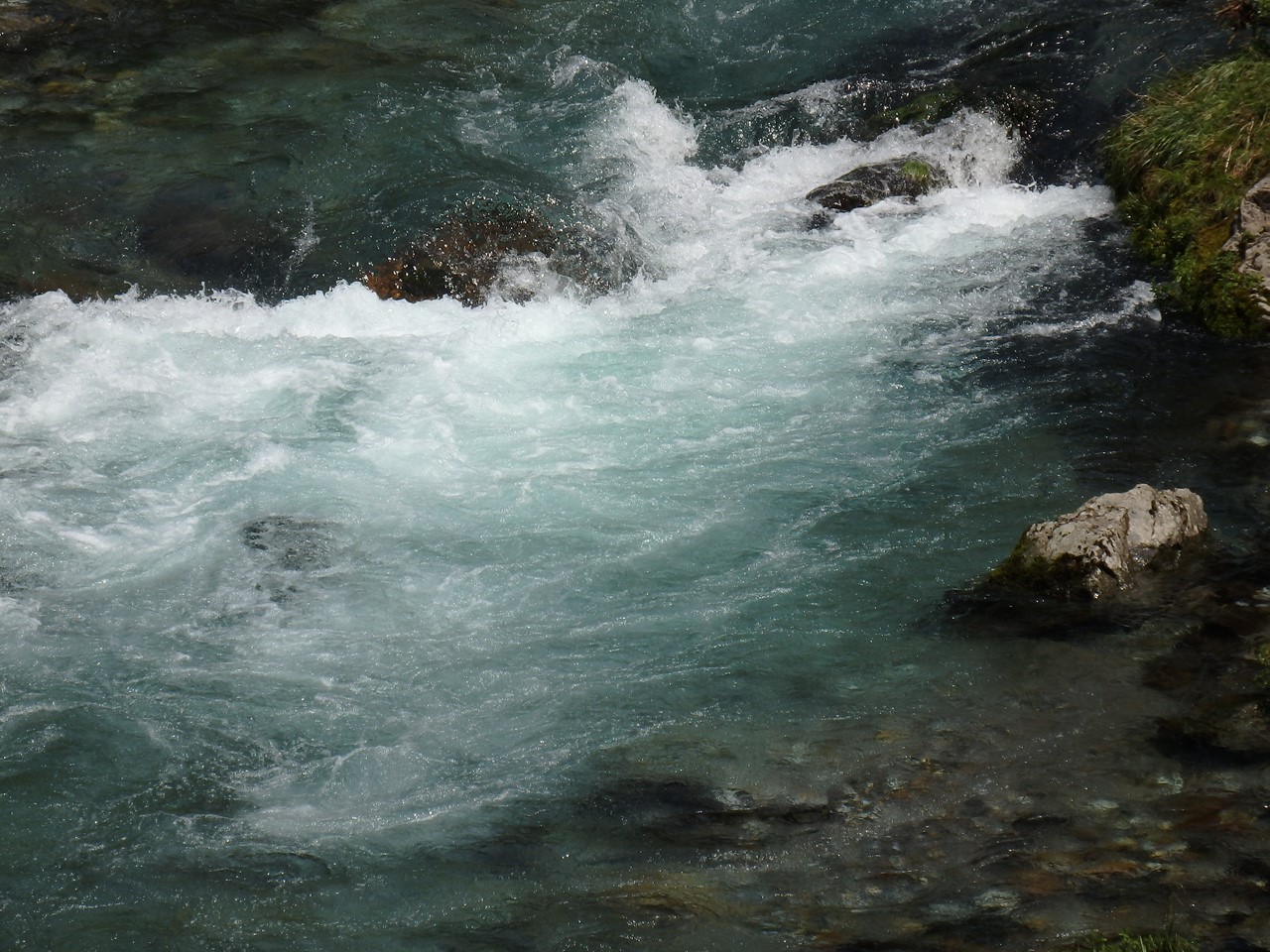 『神崎川の川沿いを歩きながら･････』_d0054276_20591155.jpg