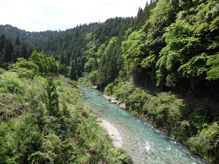 d0054276_20593144.jpg