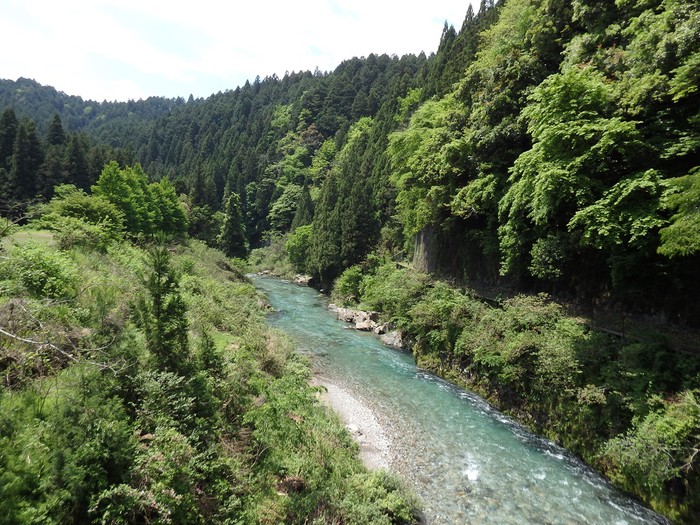 『神崎川の川沿いを歩きながら･････』_d0054276_20593144.jpg