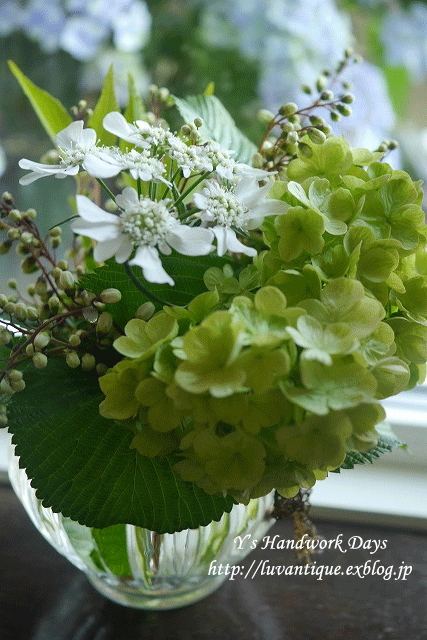 f0330978_10240821.gif