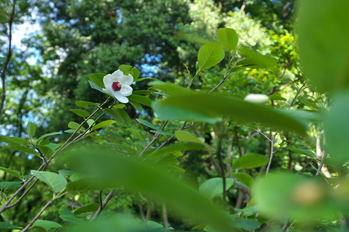 a0083081_22455077.jpg