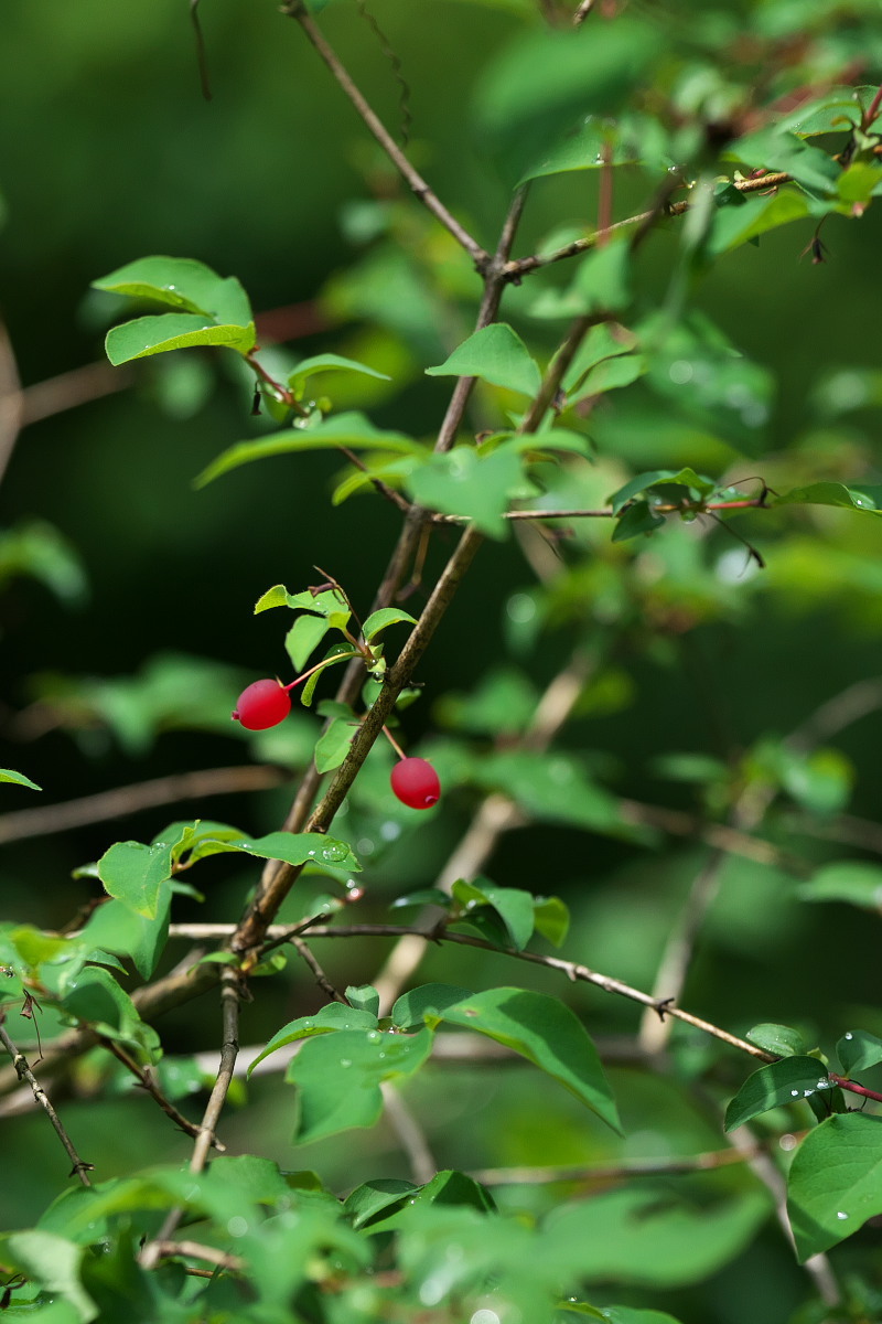 a0083081_22464464.jpg