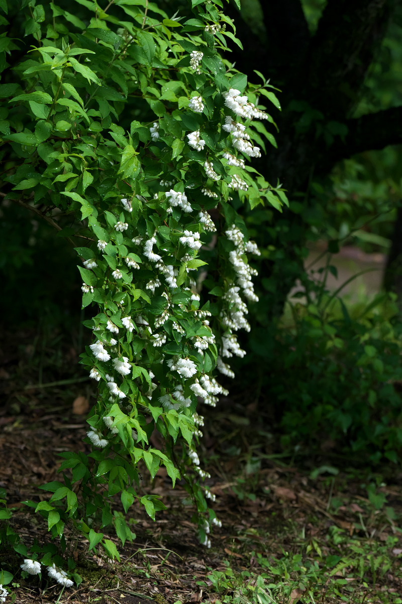 a0083081_22465134.jpg