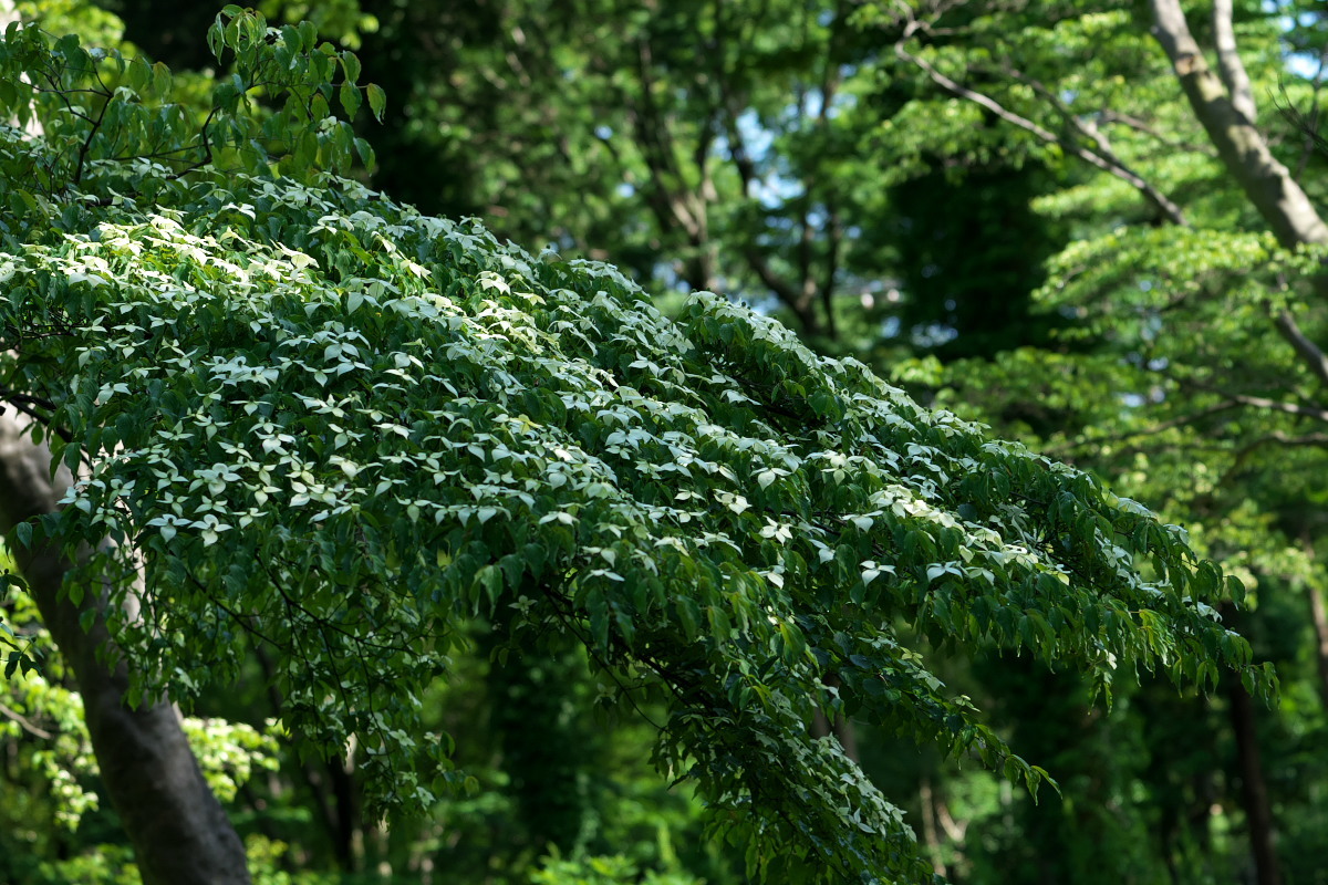 a0083081_22471374.jpg
