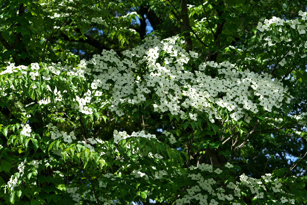 a0083081_22471921.jpg