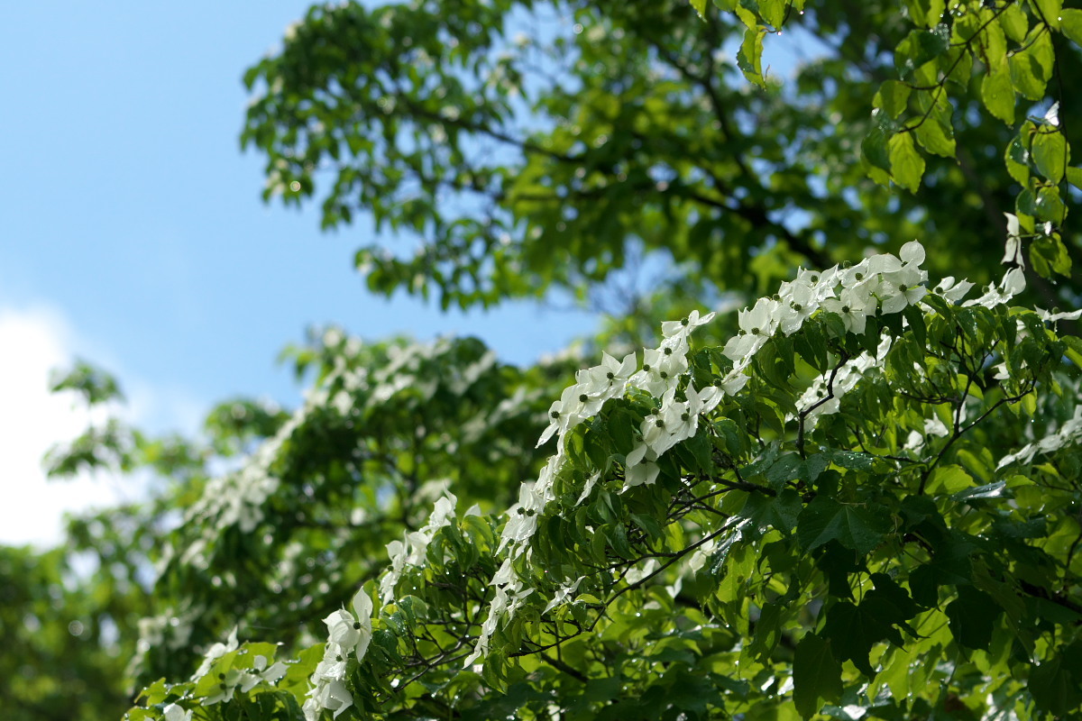 a0083081_22472537.jpg