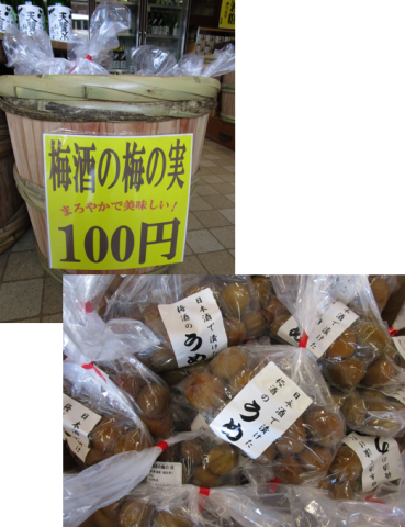 d0085681_10100086.png