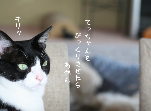 a0216583_22114363.png