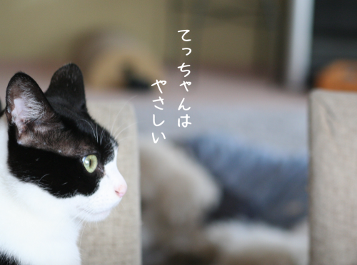 a0216583_22122616.png