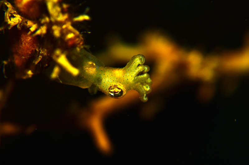 b0137083_2013234.jpg