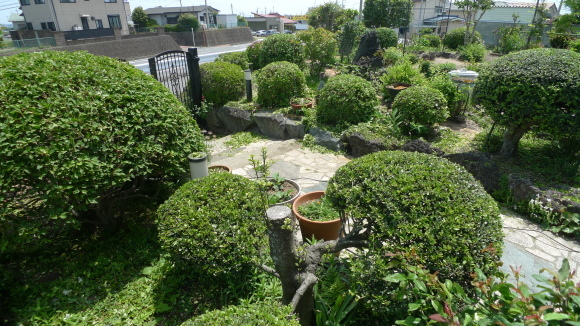 c0212083_18593277.jpg