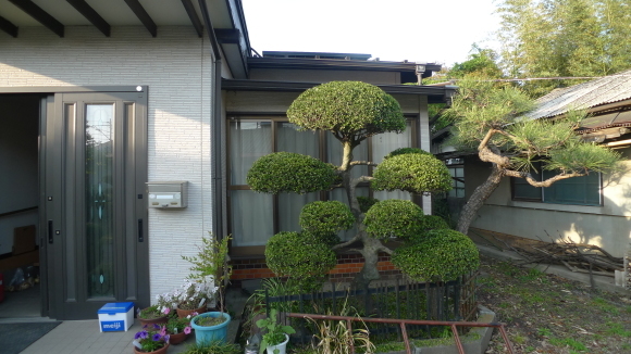 c0212083_19001657.jpg