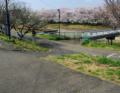 八王子見て歩記/浅川ゆったりロードの桜-3_b0123486_09312824.jpg