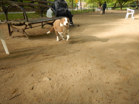 c0253487_23280034.jpg