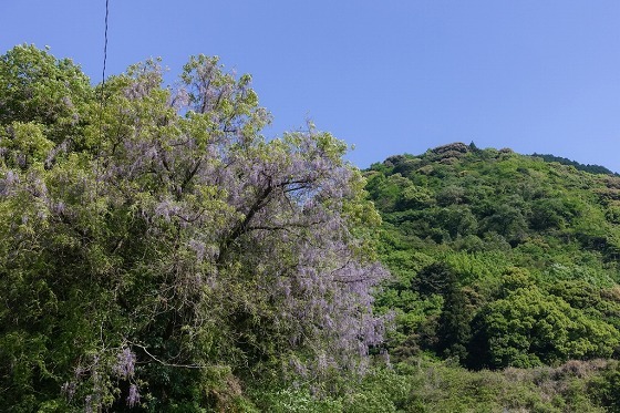 e0176993_07381056.jpg