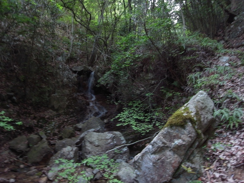 f0325295_14113654.jpg