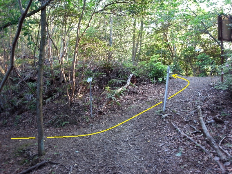 f0325295_14275846.jpg