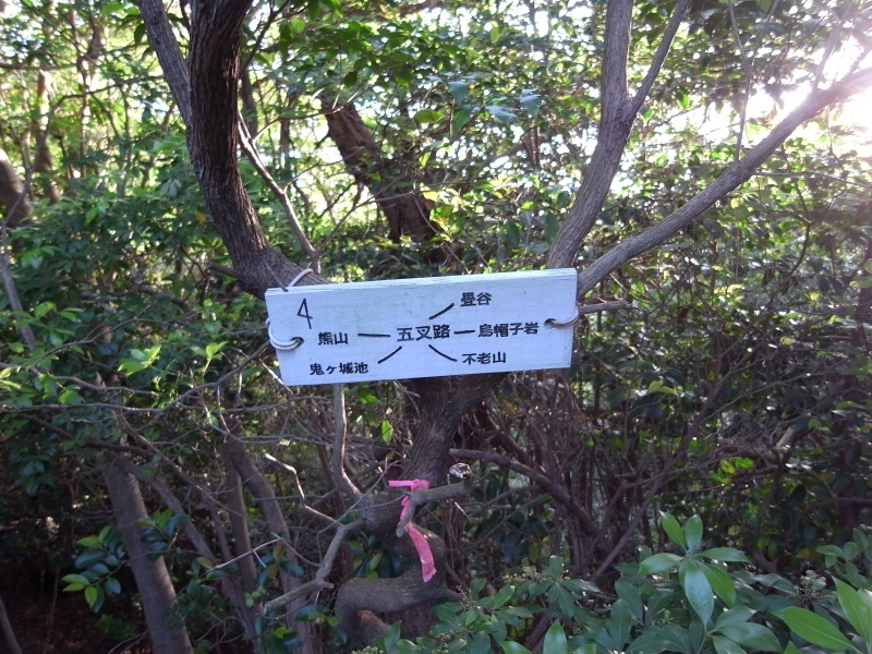 f0325295_14280244.jpg