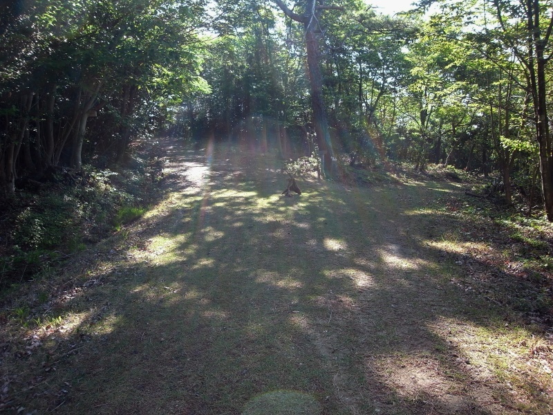 f0325295_14410202.jpg