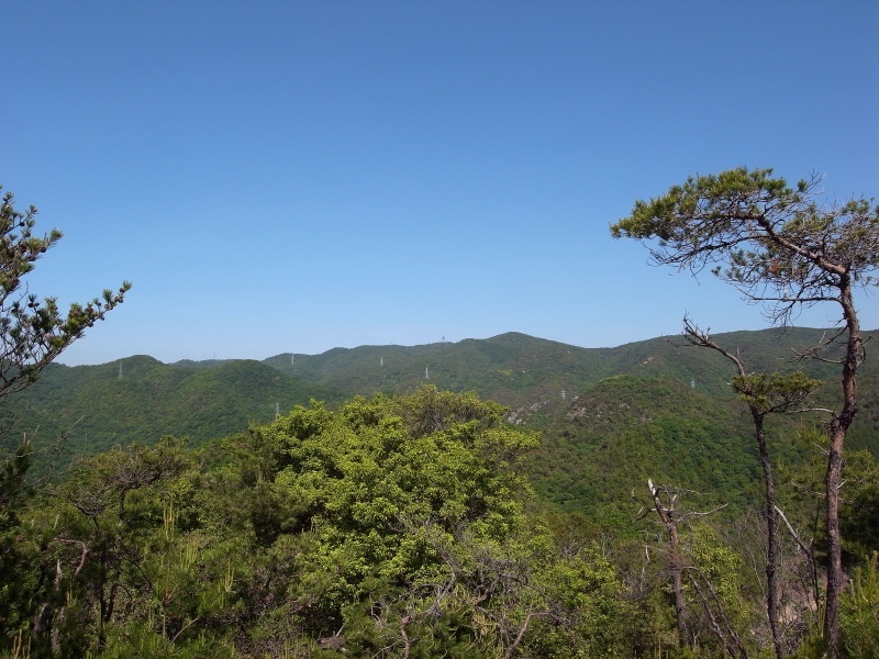 f0325295_14430136.jpg