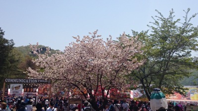 e0140496_20084345.jpg