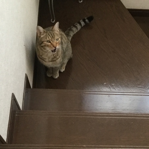 あっという間に_e0358096_19465301.jpeg