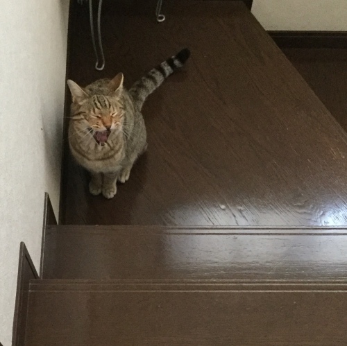 あっという間に_e0358096_19471920.jpeg