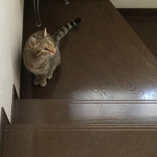 あっという間に_e0358096_19473338.jpeg