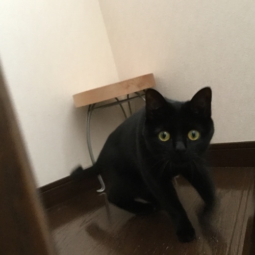 あっという間に_e0358096_19481625.jpeg