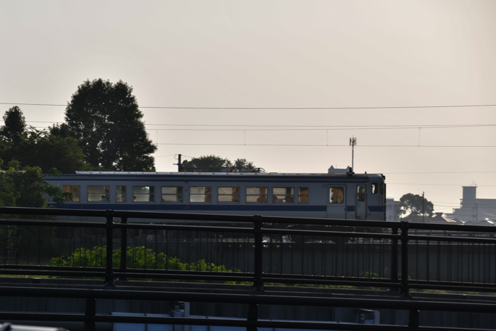 c0049299_23062745.jpg