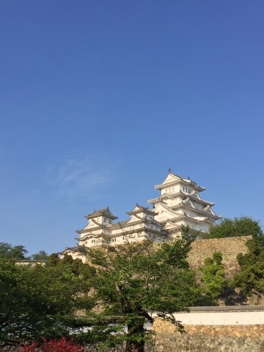 f0188600_09532562.jpeg