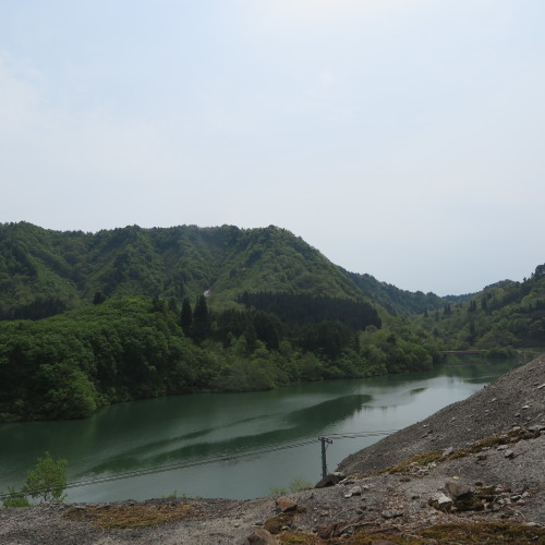 白川ダム湖畔を散策・１　２０１８．５．１２_c0075701_21203236.jpg